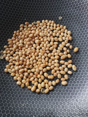 把100克的黄豆在锅里炒香倒入雷柏中