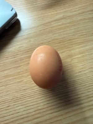 Eggs