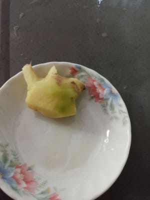 jengibre