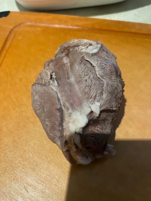 Take a beef tendon out