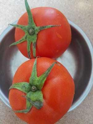 Tomatenfrucht