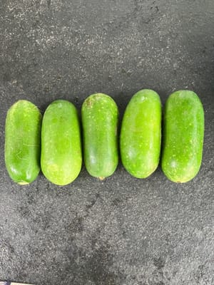 发瓜
