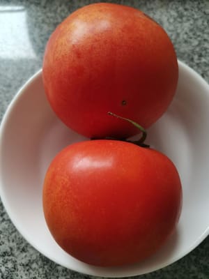 tomates en rodajas