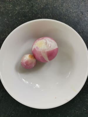 semillas de cebolla roja