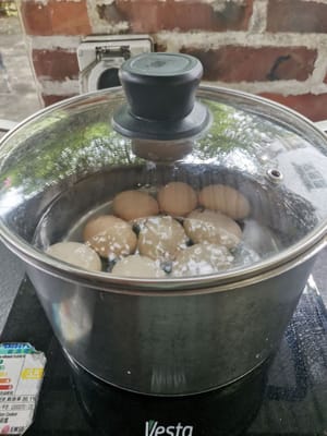 hervir los huevos durante 10 minutos