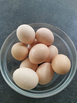 huevo de gallina