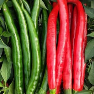 ピーマン1個、赤ピーマン1個