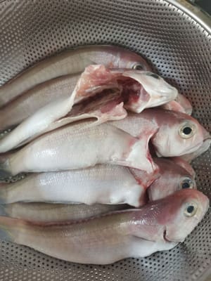 清理魚，去除魚腹，然後徹底清洗並瀝乾。
