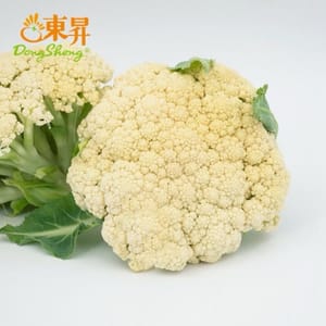 coliflor