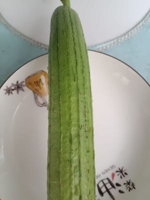 ein Luffa