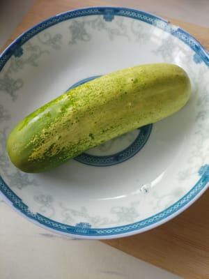 pepino