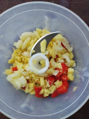 Tritare a dadini piccoli 10 grammi di aglio, 10 grammi di zenzero e 5 grammi di peperoncino, metterli in un contenitore e mescolare fino a quando non diventano spumosi.