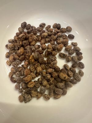 fagioli neri fermentati