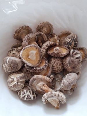 biji jamur kering
