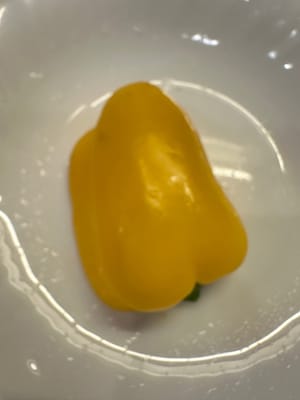 Half a yellow bell pepper