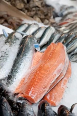 Lachs