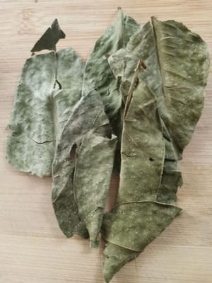 laurel