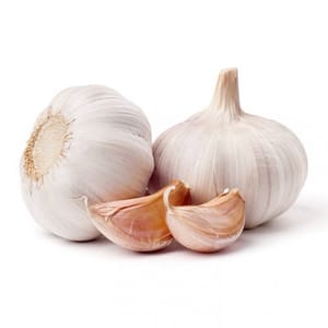 garlic