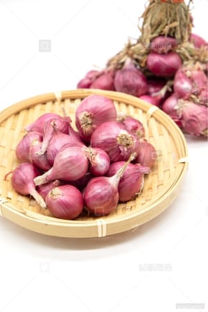 shallot