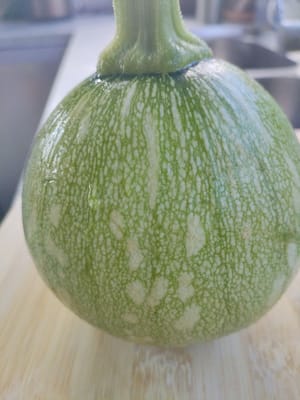 연한 호박 300g