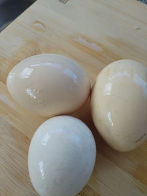 雞蛋三枚