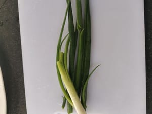 tiges d'oignons nouveaux