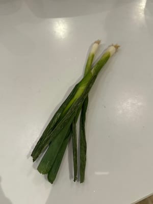 葱