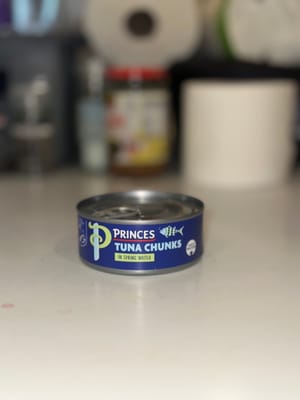 吞拿魚罐頭