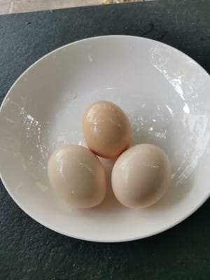 Œuf de poule
