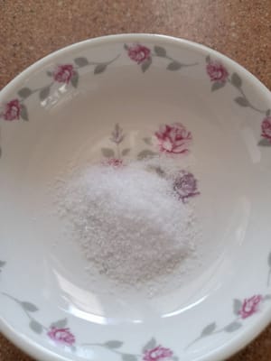 sal fina