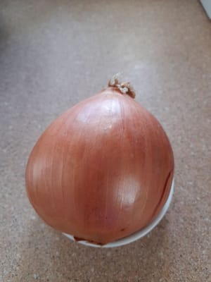 cebolla Bombay de tamaño mediano