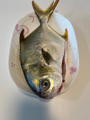 Huang Liqi lavare pulito