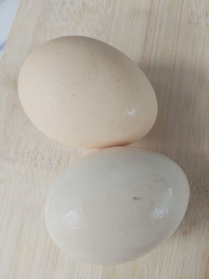 鮮蛋兩枚