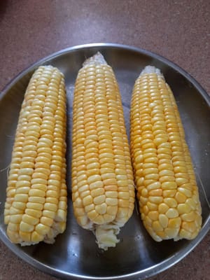 corn