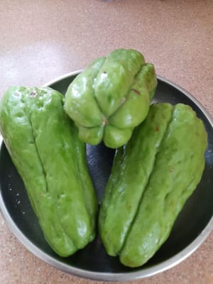 gr chayote