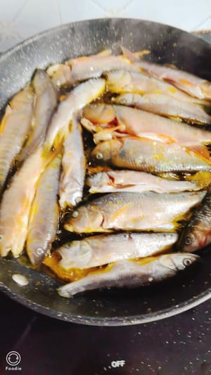 Scaldate la padella con l'olio, adagiate il pesce pulito e fatelo rosolare lentamente a fuoco basso.
