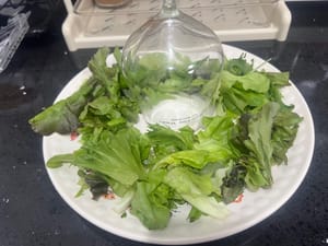 把蔬菜圍成一圈