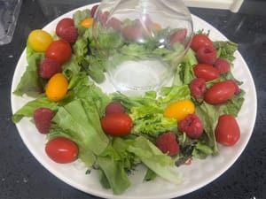 放上小蕃茄、蔓莓