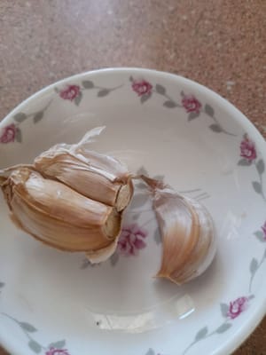 diente de ajo