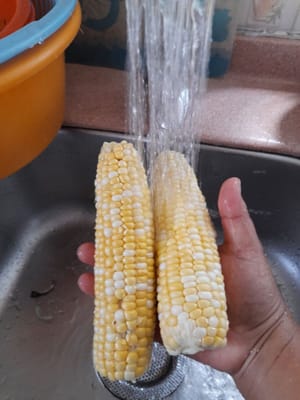 Lave bien el maíz y luego escúrralo.