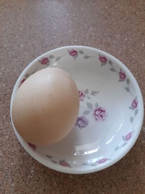 grano de huevo