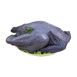 烏雞半隻