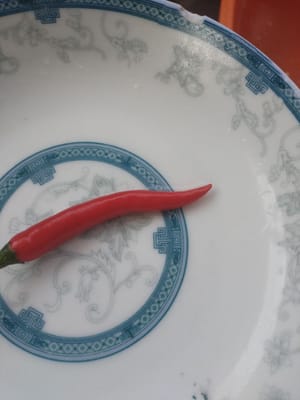 a red pepper