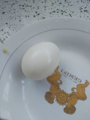eggs
