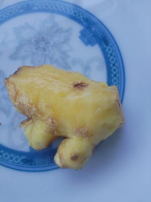Ginger