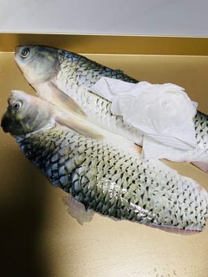 焼き魚：マリネした魚からネギとショウガを取り除きます。耐熱皿の底に玉ねぎを敷き、その上に魚を置き、表面に少量の油をスプレーします（玉ねぎは魚の香りを高め、皮がフライパンにくっつくのを防ぎます。油は焼き上がった魚の皮をよりカリッと香ばしくします）。オーブンを200℃（390°F）に予熱します。魚を30分焼きます（オーブンによって焼き加減が異なるため、焦げ付かないように注意してください）。