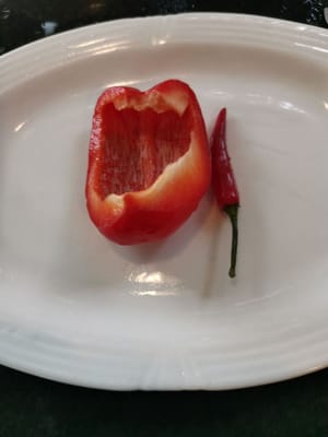 /4 peperoncini paprika e 1 pepe di Cayenna