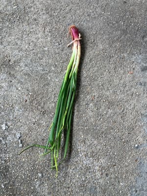 1 cebolleta para decorar