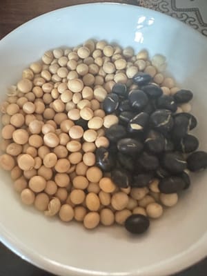 100 g di soia, 100 g di fagioli neri