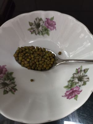 緑豆